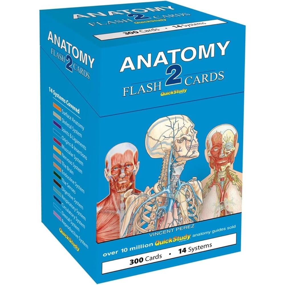 Anatomy 2 Flash Cards: a QuickStudy Reference Tool by Vincent Perez NEW UNUSED
